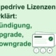 Pipedrive Lizenzen einfach erklärt: Kündigung, Upgrade, Downgrade 1 Das LIzenzmodell von Pipedrive erklärt